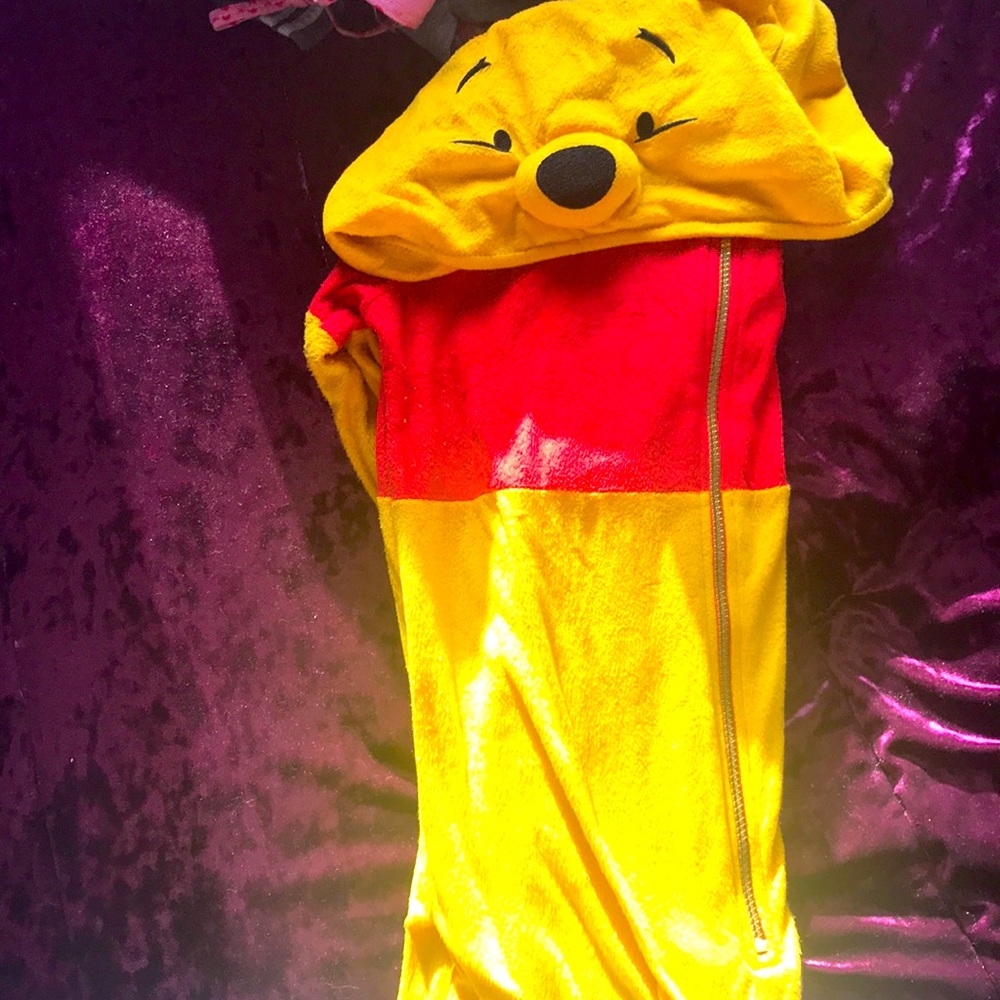 Winnie the Pooh onesie